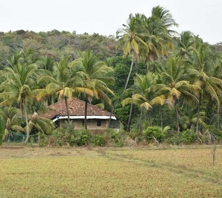 Serina House Malvan Exterior photo